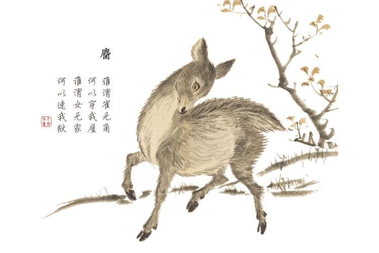 诗经中最唯美的名字,王姓女孩诗经中最唯美的名字