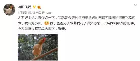 网易丁磊建设养鸡场,丁磊开了一个养猪场