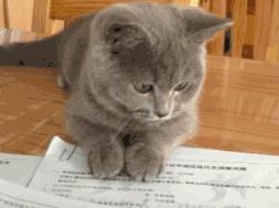 深挖一个超牛的搭配，解锁美白新思路