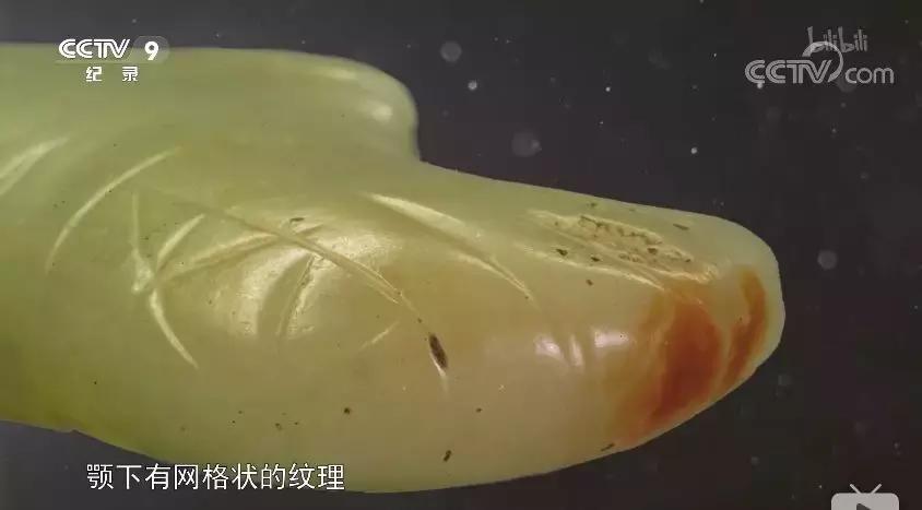 一部国产纪录片弹幕居然全是哈哈哈哈哈哈哈