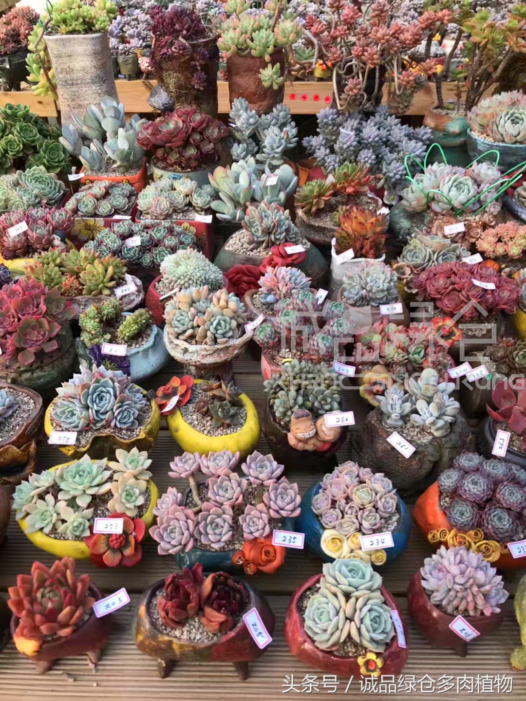 满足你对的所有幻想,满足你对生活所有的想象