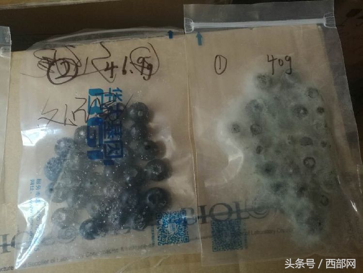 天然抗菌肽的研究进展及药物应用,海归博士研发治癌设备