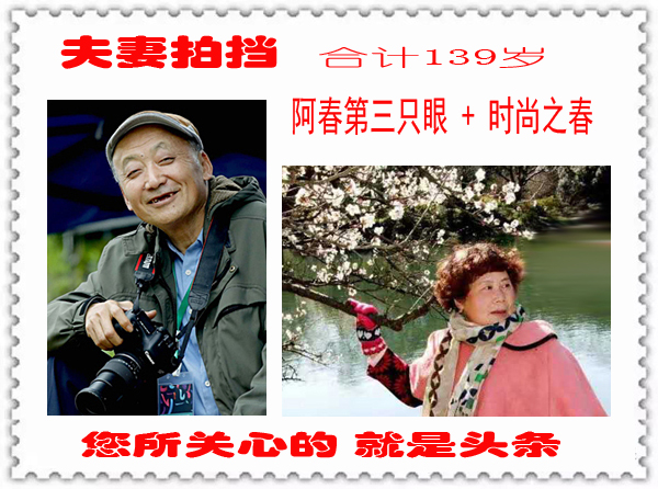 杭州非遗文化展示,杭州非遗文化展