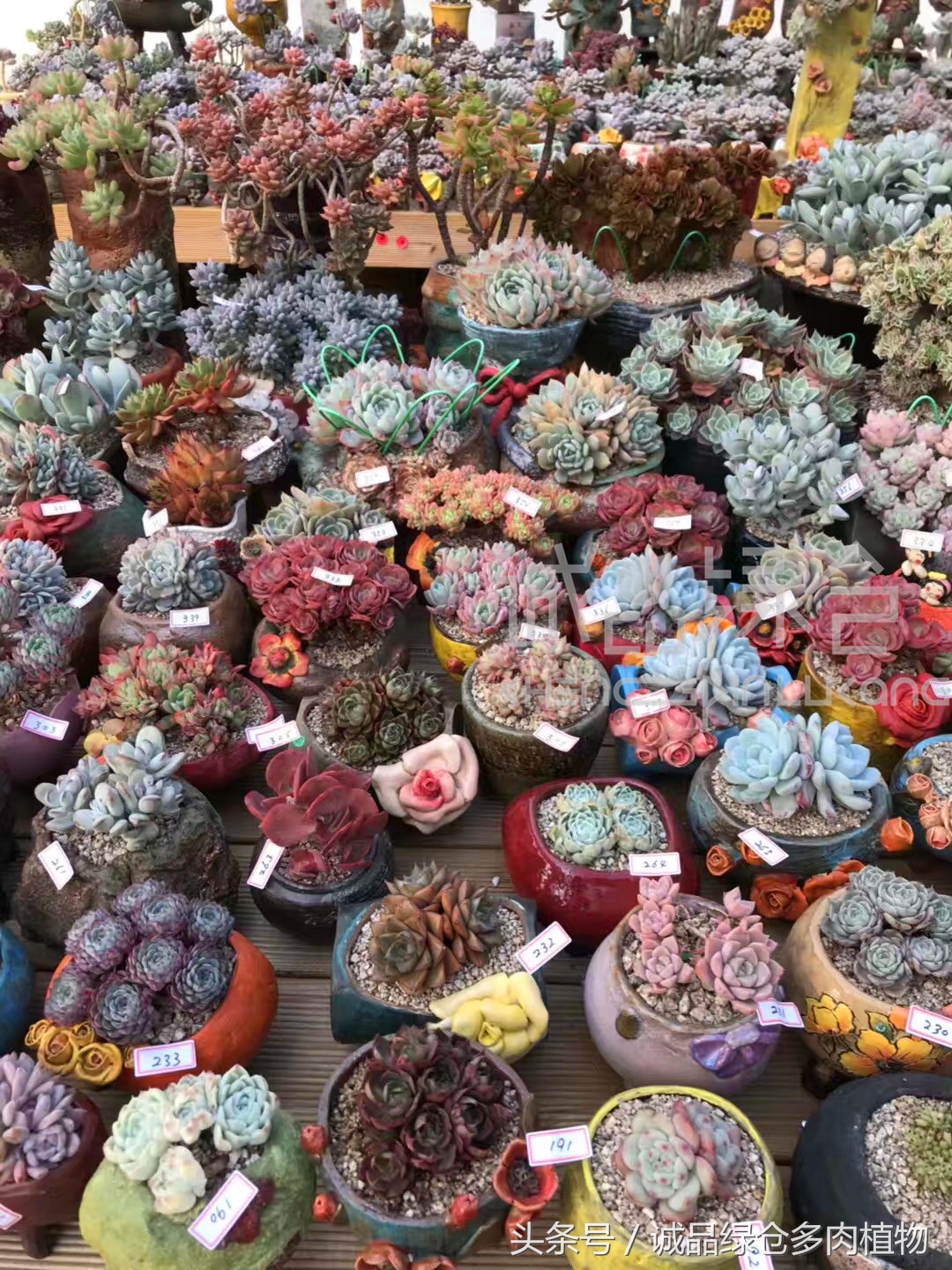 满足你对的所有幻想,满足你对生活所有的想象