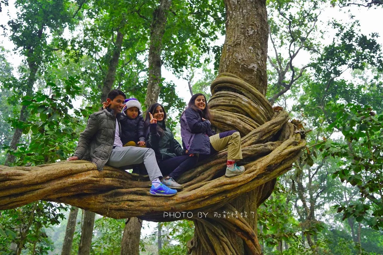 尼泊尔必买商品,尼泊尔购物街必买清单