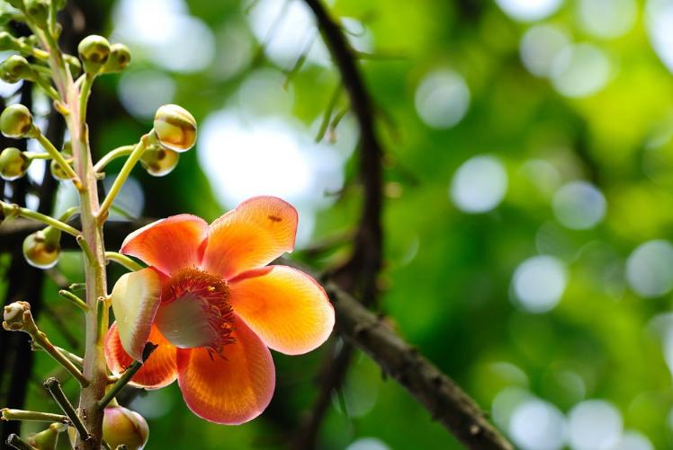 遇到吹毛求疵的老板怎么办,遇到一个吹毛求疵的上司该如何