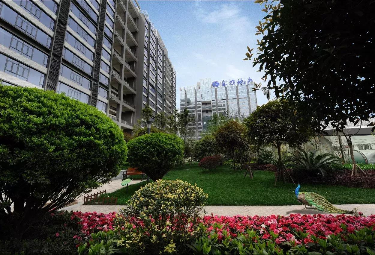 成都的中心是天府广场吗,成都的中心是哪个地方啊