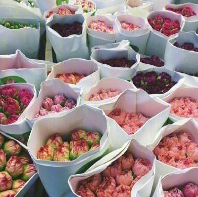 3000块钱玩遍香港,想都不敢想吧?