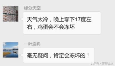鸡蛋冻了,鸡蛋冻着了