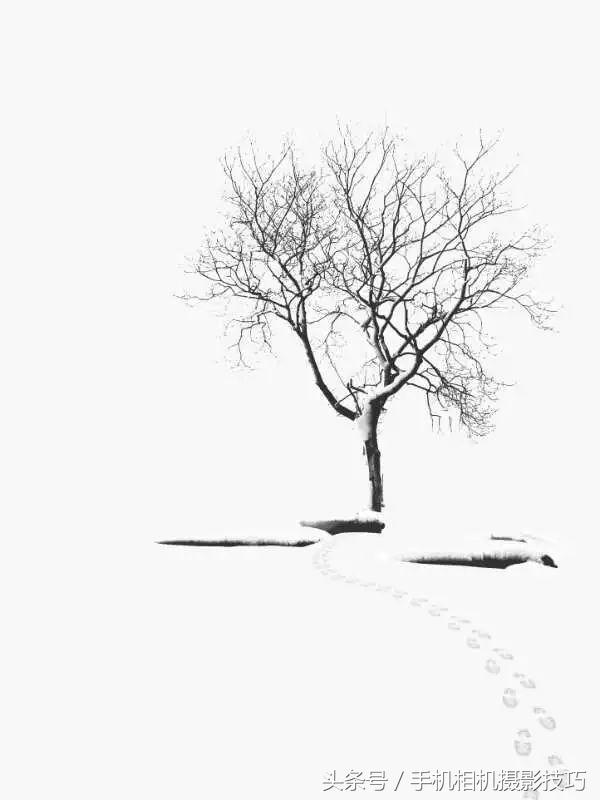 这就是所谓“别人家拍的雪景”：佳作推荐第46期