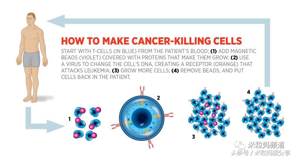 听说癌症能治了是真的吗,不是谣言是真的