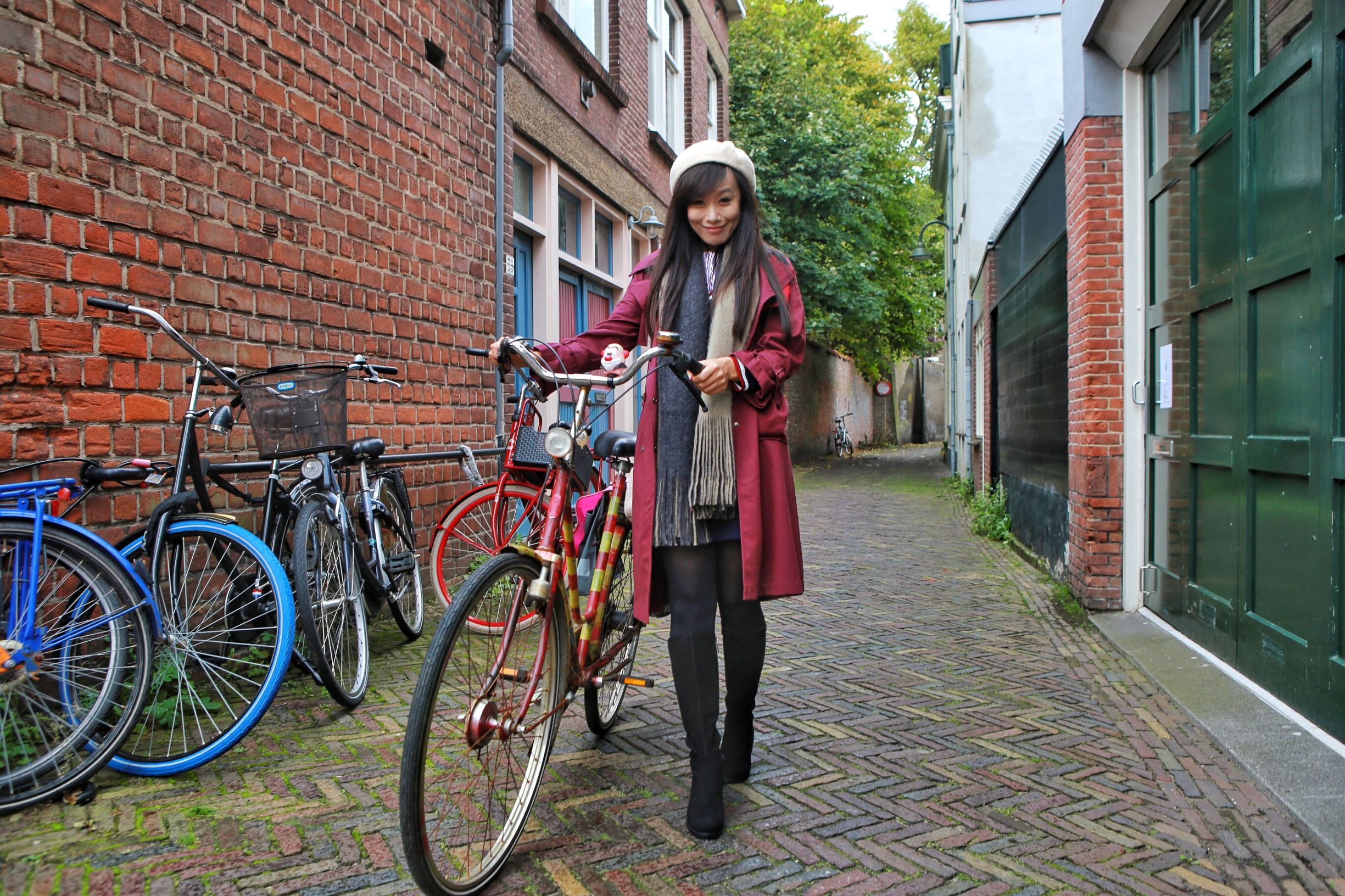 共享单车和德国自行车 (中国自行车与外国自行车哪个好骑)