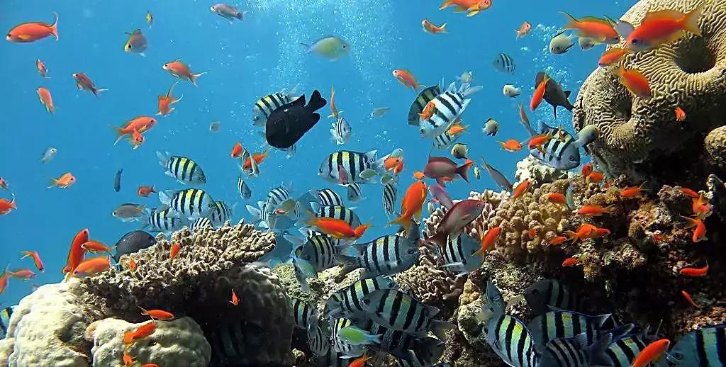 前任3上映时观看者现场哭,看完前任3在影院哭的视频