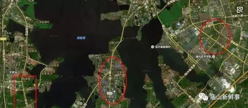 武汉江夏藏龙岛现在适合买房吗,江夏文化大道未来5年房价趋势