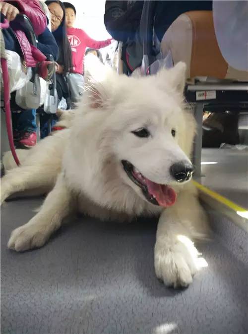 回顾欧帝亿和你相遇春の水长城