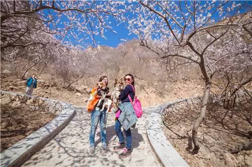 回顾欧帝亿和你相遇春の水长城