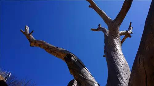 回顾欧帝亿和你相遇春の水长城