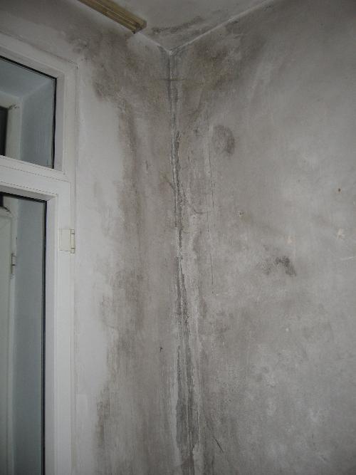 墙体受潮发霉怎么处理,室内墙体发霉的原因和处理办法