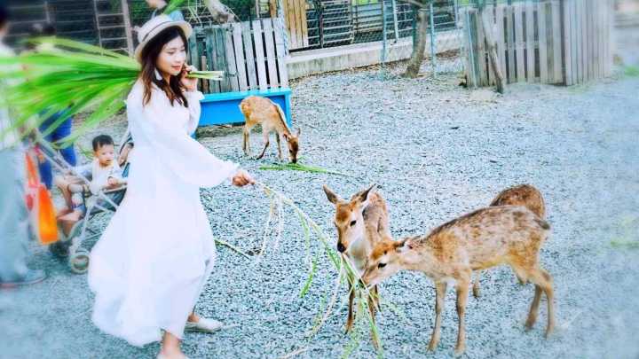 恋恋花莲小清新：寻找那一抹花意