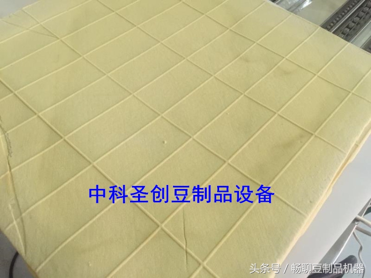 全自动干豆腐机正确使用方法,豆腐干机功能