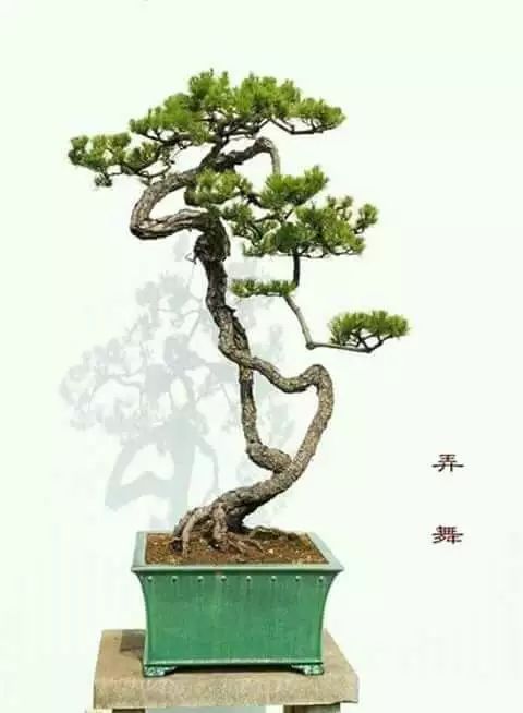 大师是怎样炼成的二胡独奏,真正的大师是怎么练成的