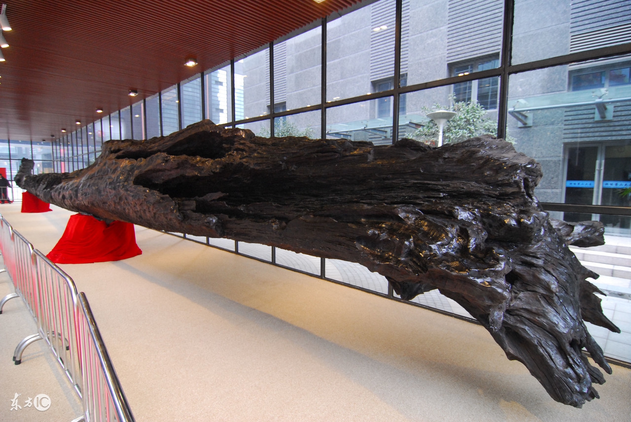 乌木的价值探讨,经典乌木沉香和珍华乌木的区别