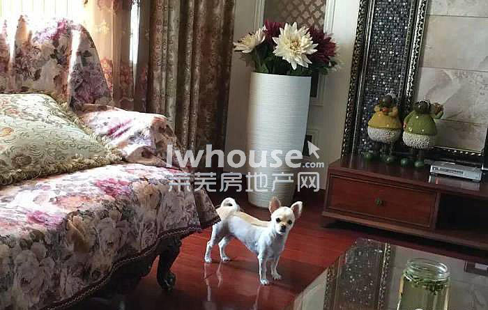 莱芜中舜鲁中国际装修公司,莱芜中舜鲁中国际8号楼