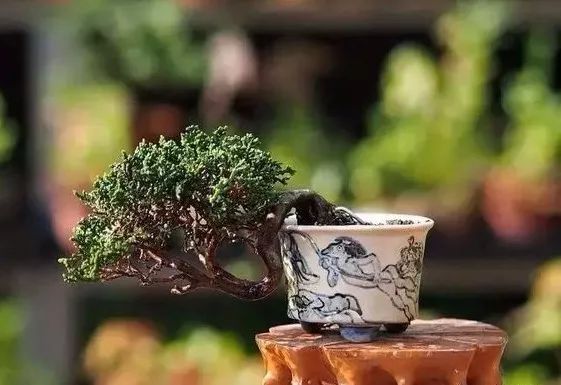 大师是怎么炼成的免费,真正的大师是怎么练成的