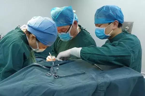 穆晓红教授直播,穆晓红脑瘫专家