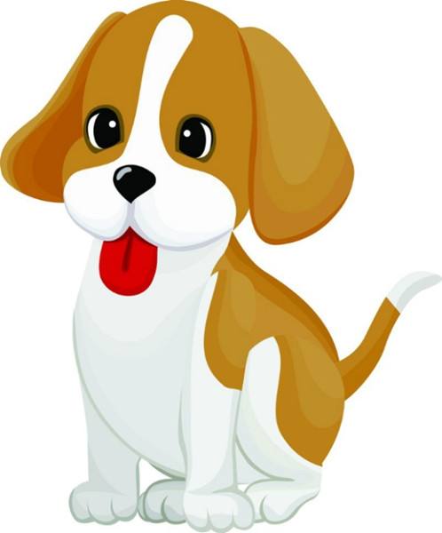 本命年属狗的财运怎样,本命年生肖狗的开运方式