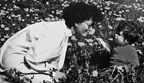 海棠文心(073)林雅清:思想盛宴——读《亲爱的安德烈》有感