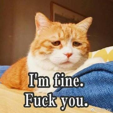 即时战略游戏帝国时代四,即时战略游戏帝国