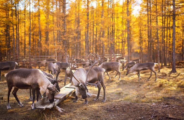根河有什么特别的地方,中国冷得出名的根河