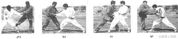 形意拳七大不良现象,形意拳七拳打法