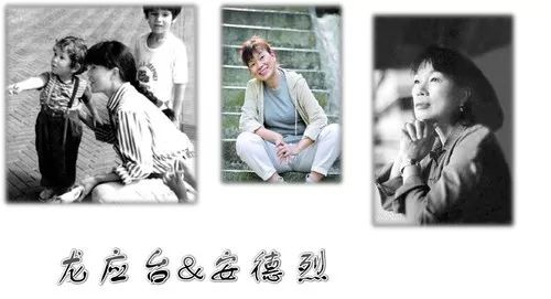 海棠文心(073)林雅清:思想盛宴——读《亲爱的安德烈》有感