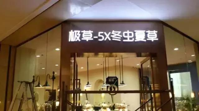 极草冬虫夏草品牌介绍,极草骗局