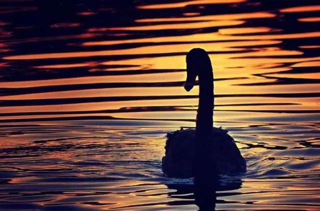 收费站工作好不好？不好，但至少稳定啊！