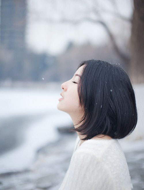 「素生活」桦树之泪，白桦茸的普世轮回