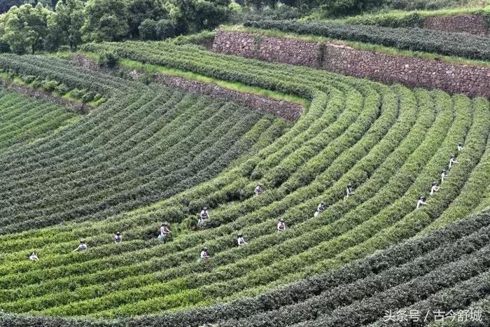安徽省舒城万佛湖风景区新闻,舒城万佛湖全景视频