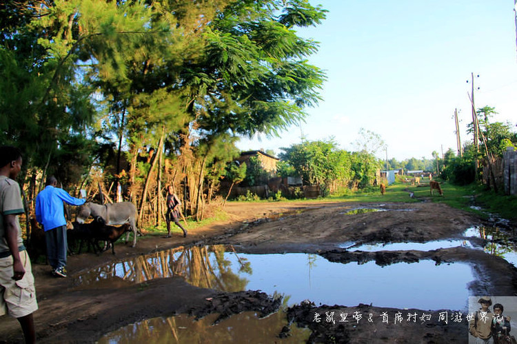 这个市场有意思：理发8元，上网一小时35元，卖花生米用瓶盖