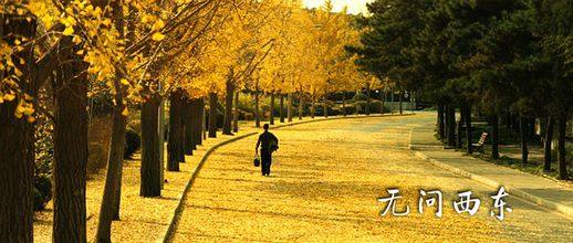 *坐静**听雨无畏，无问西东求真——浅谈故事片的层级