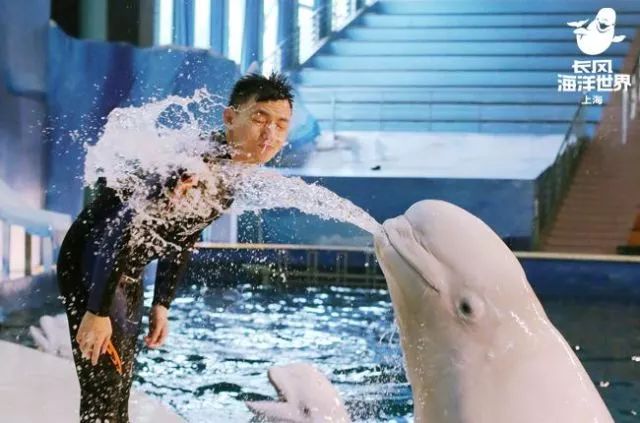 上海最省钱旅游攻略,旅游省钱从上海出发