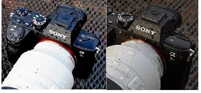 尼康d850和佳能5d4和索尼a7s2,佳能5dmarkiv与尼康d850