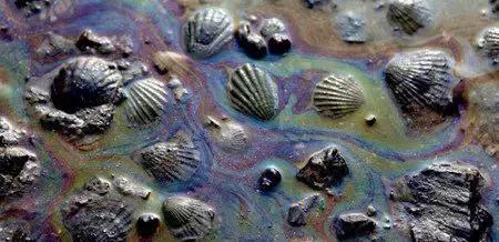 船溢油的后果,海上溢油事故原因分析