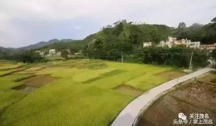 高州各镇历史来历,高州市有多少个镇街