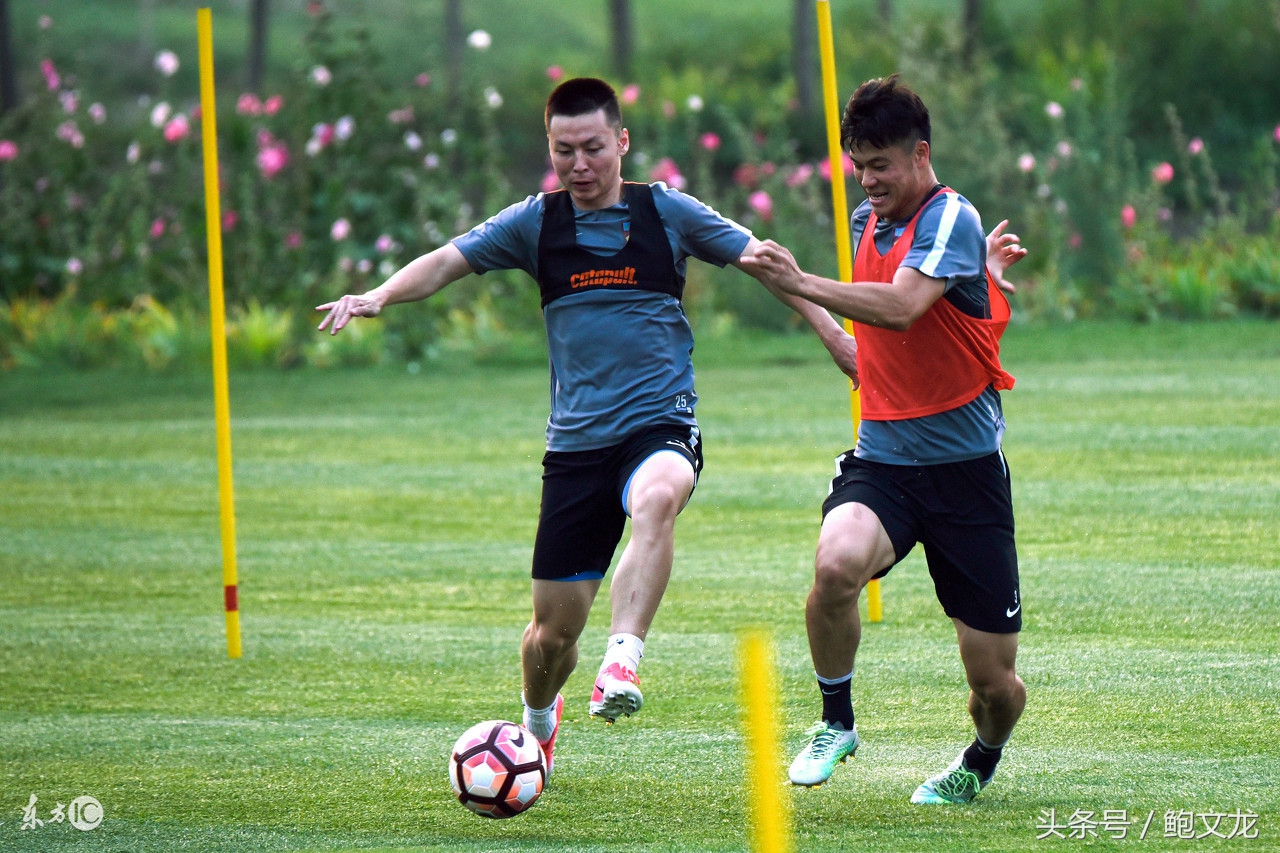 权健管理层名单,权健夏季引援最新消息