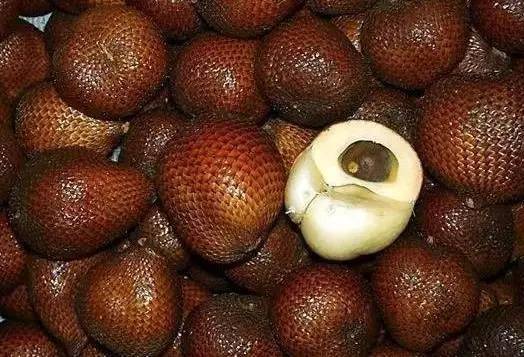 最奇葩的六种水果,你没吃过的十种奇葩水果