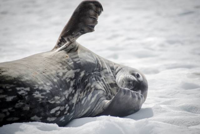 通往南极地下的水道,地球之极破冰船南极之旅
