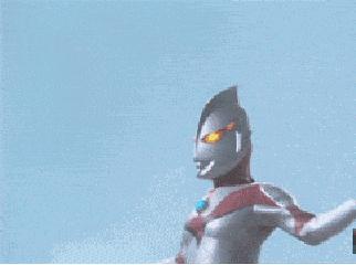 喵咪有虱子剔下来的猫毛怎么处理,喵咪有跳蚤怎么驱虫