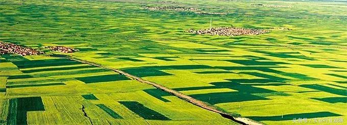 农服的发展出路,农服行业的发展前景